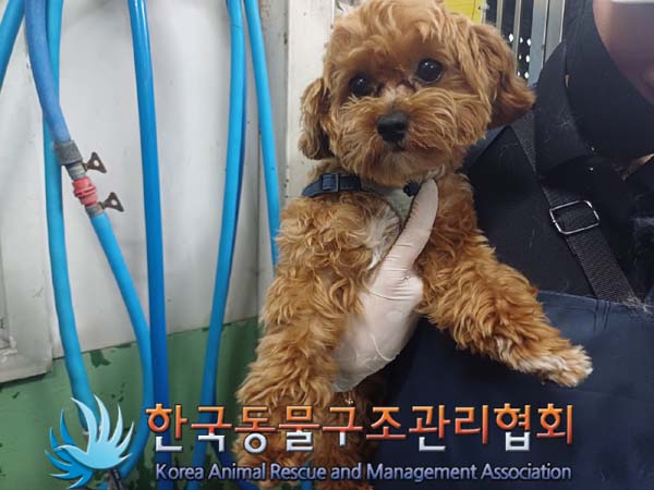 한국동물구조관리협회_411316202400397